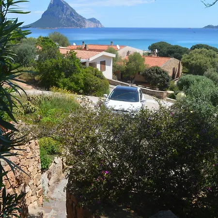 Corbezzolo * Porto Taverna