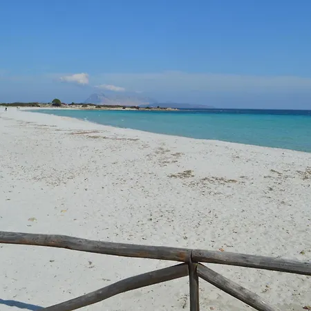 Corbezzolo *