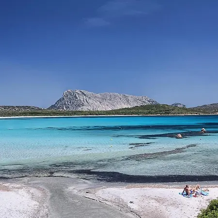 Corbezzolo * Porto Taverna