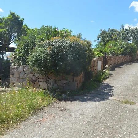 Corbezzolo *
