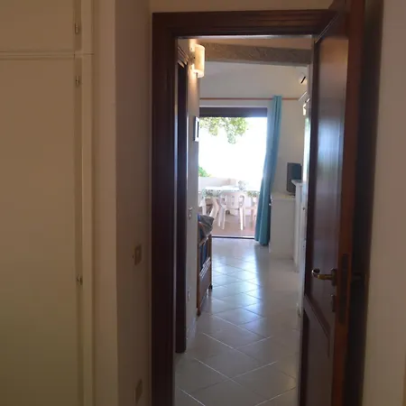 Corbezzolo